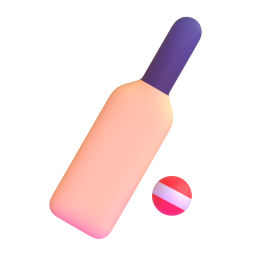 cricket game - 板球比赛